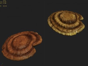 hundred thousand mountains - ganoderma lucidum 01 Modèle 3D