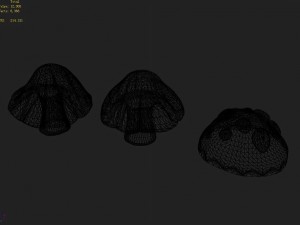 one hundred thousand mountains - mushrooms 01 3D Model