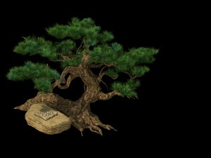 hundred thousand mountains - pine - checkerboard Modelo 3D