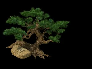 hundred thousand mountains - pine - checkerboard 3D Model