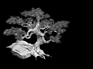 hundred thousand mountains - pine - checkerboard 3D Model