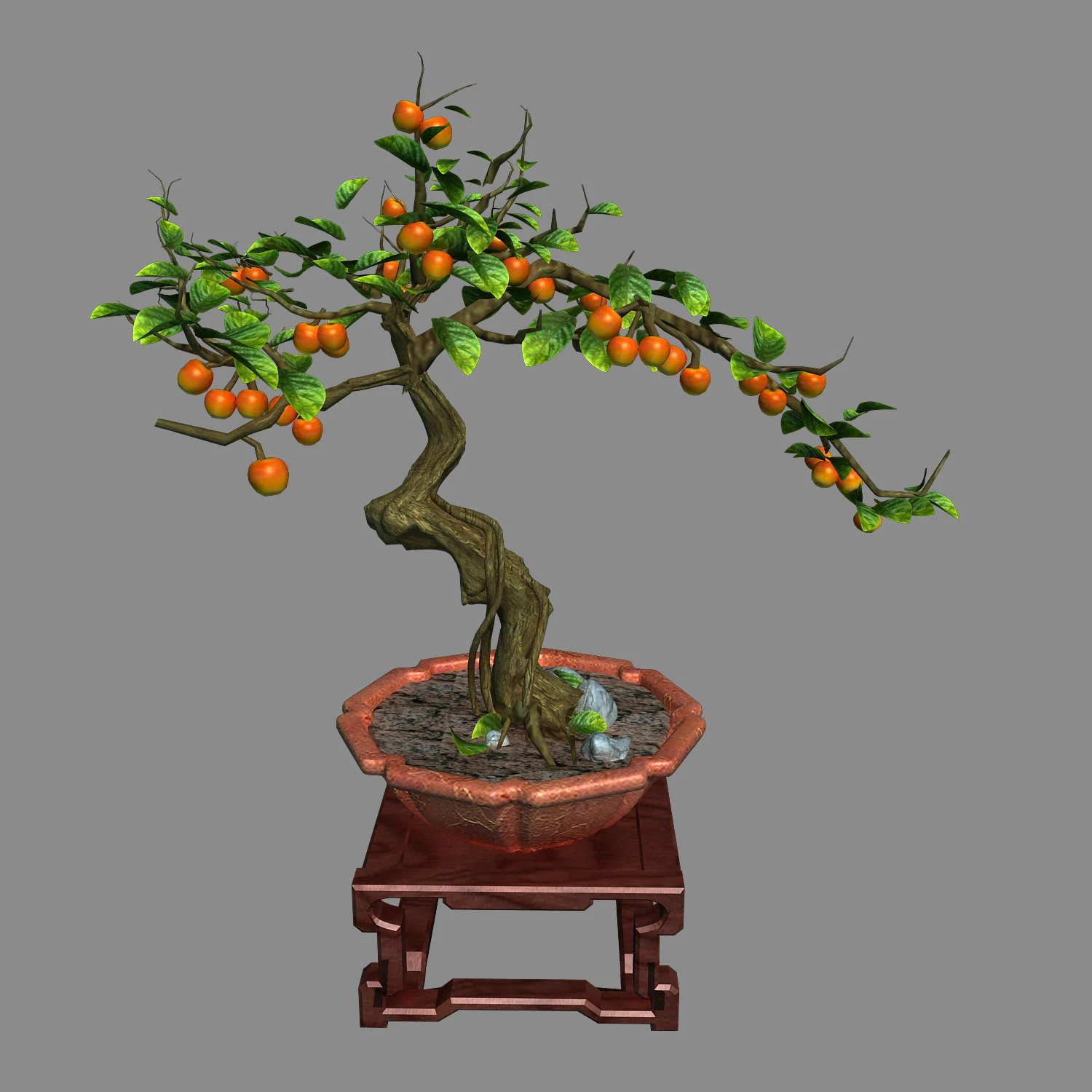 indoor - potted plants - plants 01 3D Model .c4d .max .obj .3ds .fbx .stl .blend
