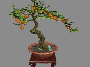 indoor - potted plants - plants 01 3Dモデル