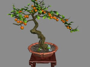 indoor - rośliny doniczkowe - rośliny 01 Model 3D