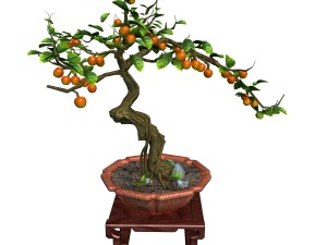 indoor - potted plants - plants 01 Model 3D