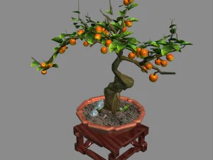 indoor - potted plants - plants 01 3D Model
