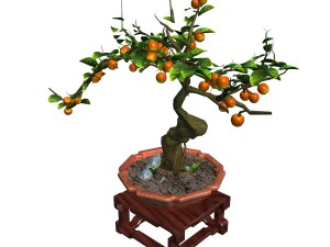indoor - potted plants - plants 01 Model 3D