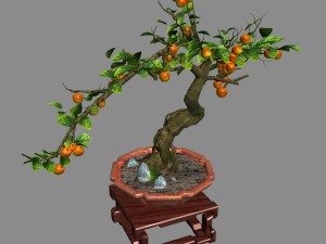 indoor - potted plants - plants 01 Model 3D