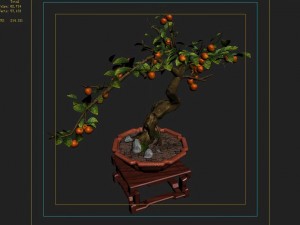 indoor - potted plants - plants 01 Model 3D