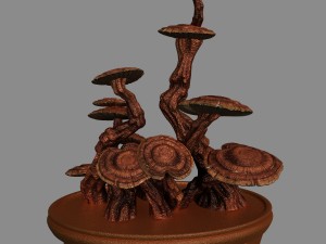 indoor - potted plants - plants 02 3D Model
