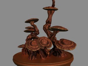 i&ccedil; mekan - saksı bitkileri - bitkiler 02 3D Model