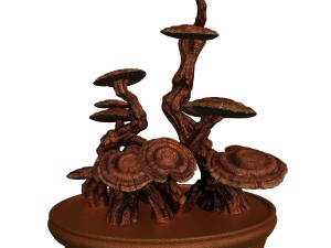 indoor - potted plants - plants 02 3D Model