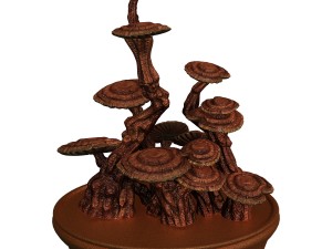 indoor - potted plants - plants 02 3D Model