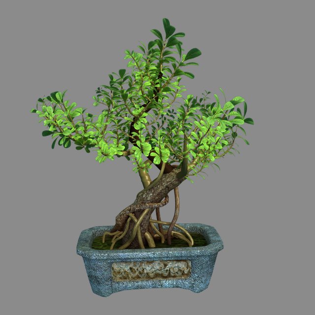 indoor - potted - plants 03 Modelo 3D .c4d .max .obj .3ds .fbx .stl .blend