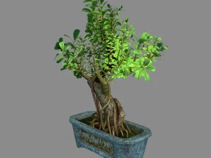 i&ccedil; mekan - saksı - bitkiler 03 3D Model