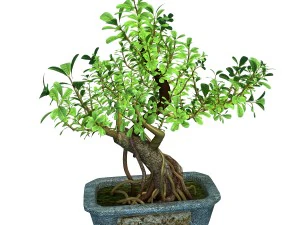 i&ccedil; mekan - saksı - bitkiler 03 3D Model