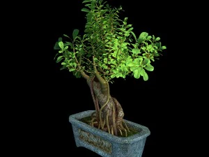 i&ccedil; mekan - saksı - bitkiler 03 3D Model