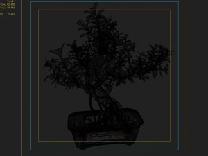 indoor - potted - plants 03 Modelo 3D