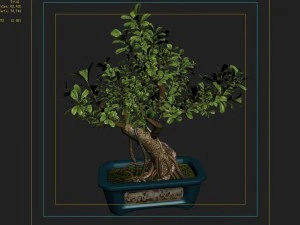 i&ccedil; mekan - saksı - bitkiler 03 3D Model