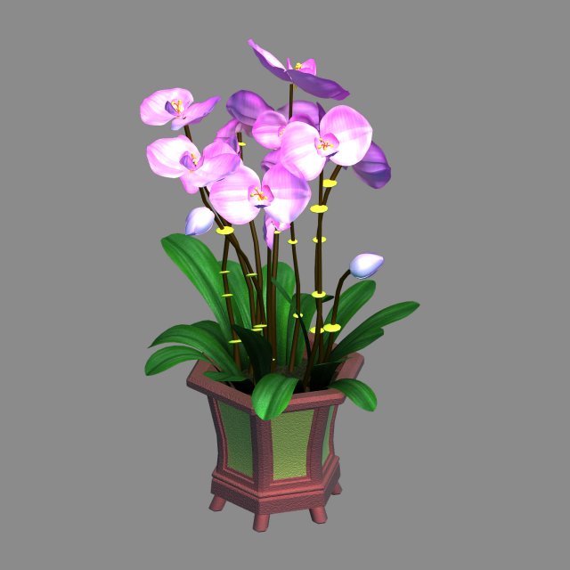 indoor - potted - plants 04 Modelo 3D .c4d .max .obj .3ds .fbx .stl .blend 