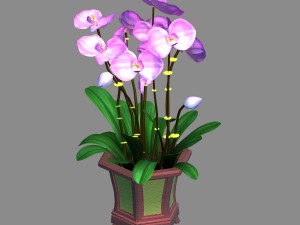 indoor - potted - plants 04 3D Модель
