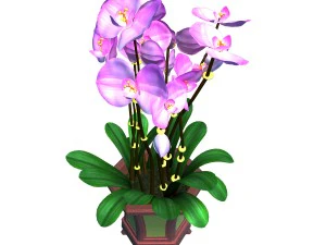indoor - potted - plants 04 3D Model
