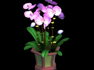 indoor - potted - plants 04 3D Model