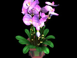 indoor - potted - plants 04 3D Model
