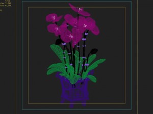 indoor - potted - plants 04 Modelo 3D