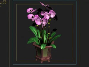 indoor - potted - plants 04 3D Model