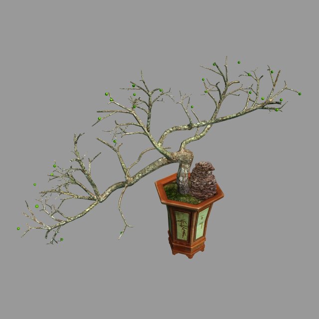 indoor - potted plants - plants 05 3D 模型 .c4d .max .obj .3ds .fbx .stl .blend 
