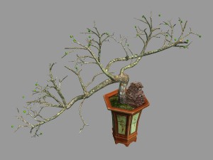 indoor - potted plants - plants 05 3D 模型