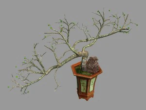 屋内 - 鉢植え - 植物05 3Dモデル