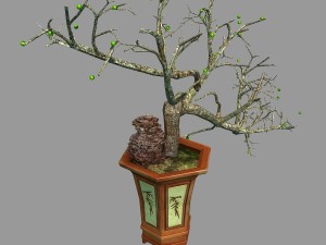 indoor - potted plants - plants 05 3D 模型