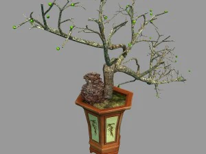 indoor - potted plants - plants 05 3D Model