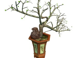 indoor - potted plants - plants 05 3D Model