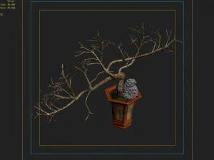 indoor - potted plants - plants 05 3D Model