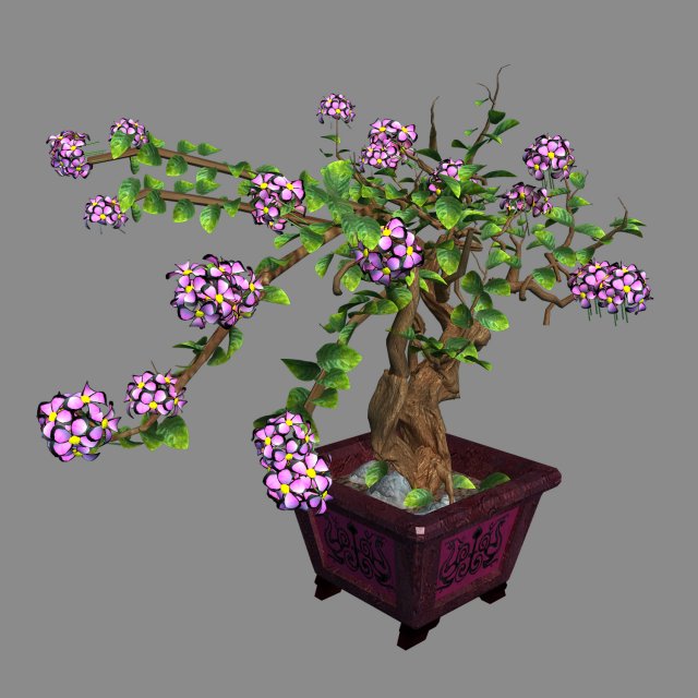 indoor - potted - plants 06 Model 3D .c4d .max .obj .3ds .fbx .stl .blend 