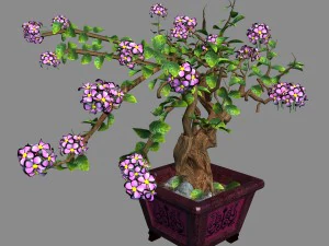 i&ccedil; mekan - saksı - bitkiler 06 3D Model