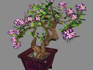 indoor - potted - plants 06 Model 3D