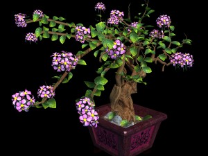 indoor - potted - plants 06 Model 3D