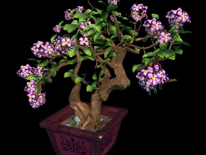 indoor - potted - plants 06 Model 3D
