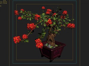 indoor - potted - plants 06 Model 3D