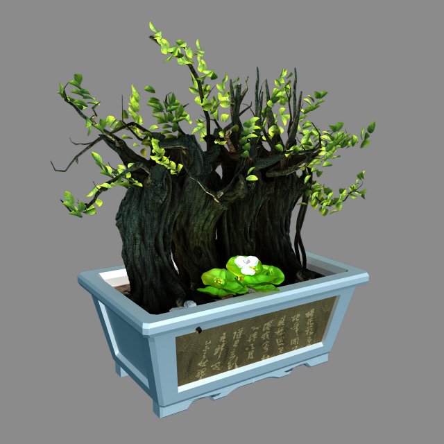 indoor - potted plants - plants 07 Modelo 3D .c4d .max .obj .3ds .fbx .stl .blend 