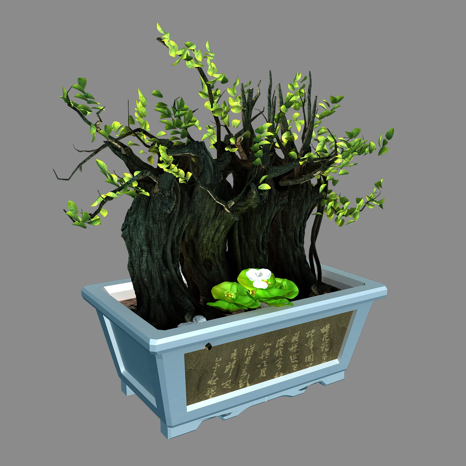 indoor - potted plants - plants 07 3D Model .c4d .max .obj .3ds .fbx .stl .blend