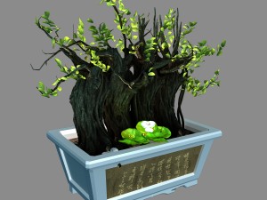 indoor - potted plants - plants 07 3D Model