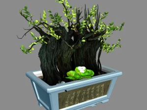 i&ccedil; mekan - saksı bitkileri - bitkiler 07 3D Model