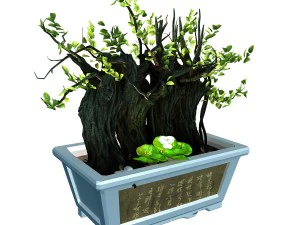 indoor - potted plants - plants 07 3D Model