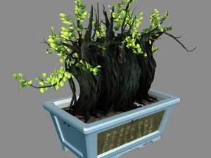 indoor - potted plants - plants 07 3D Model