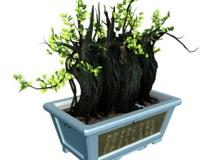 indoor - potted plants - plants 07 3D Model